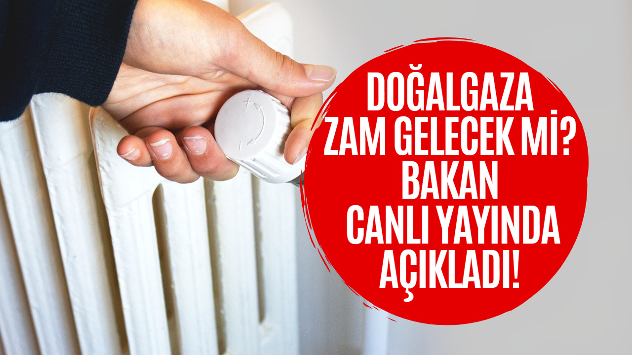 Doğalgaza Zam Gelecek Mi Sorusuna Enerji Bakanı Yanıt Verdi!