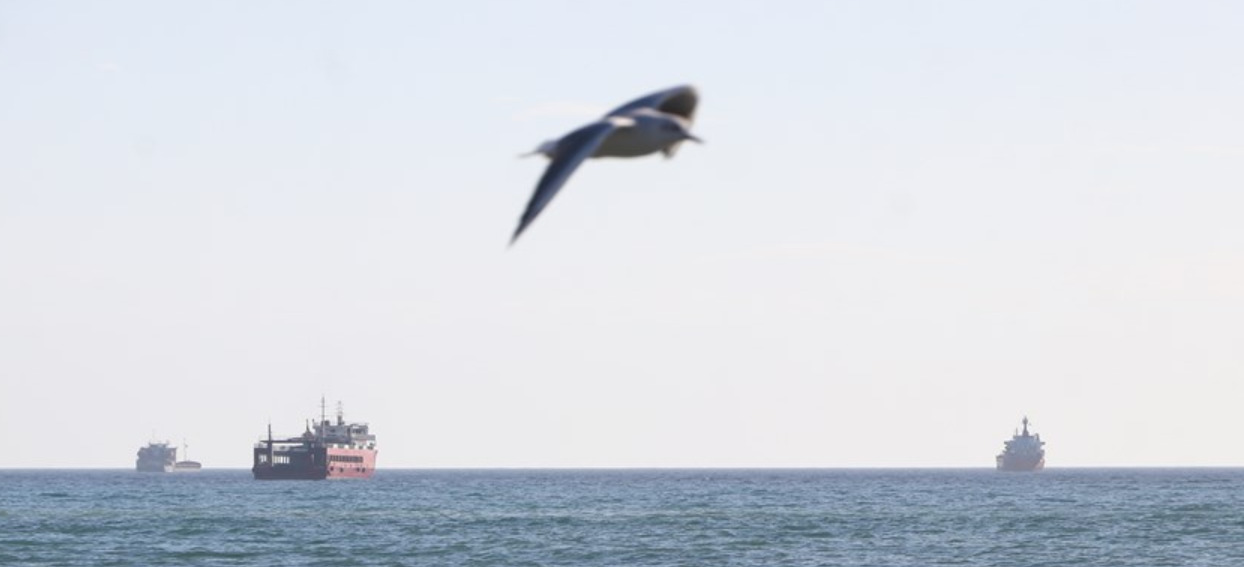 Marmara Denizi'nde Lodos Etkisi Görülüyor