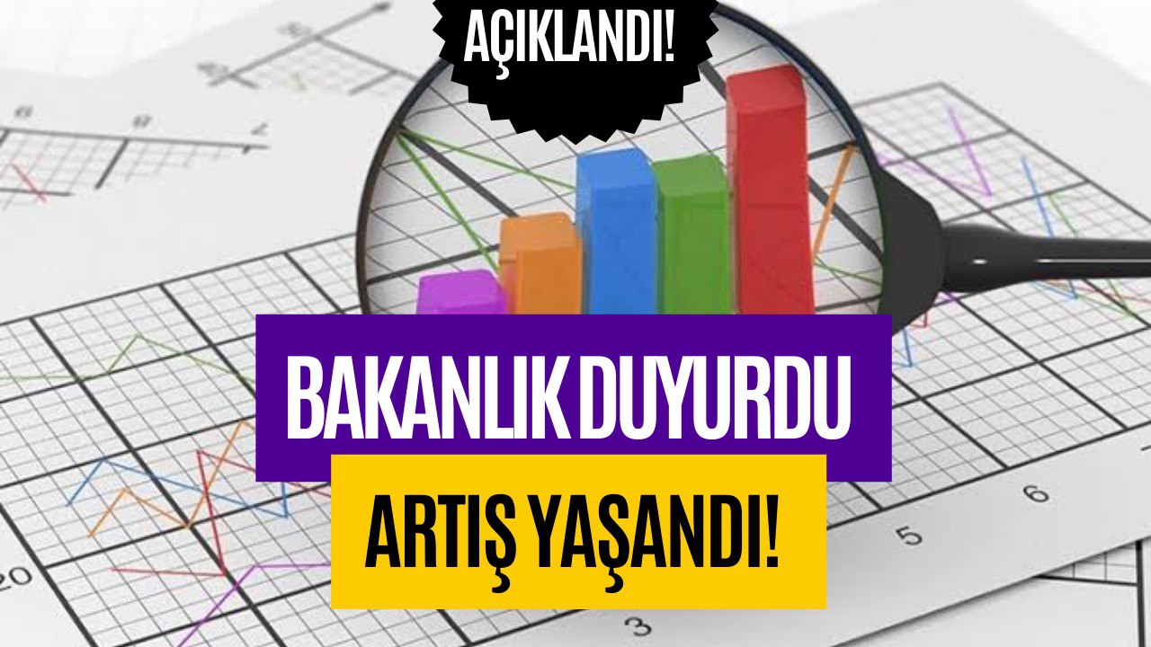 Yüzde 38 Artış Kaydedildi! Resmi Veriler Bakanlık Tarafından Açıklandı