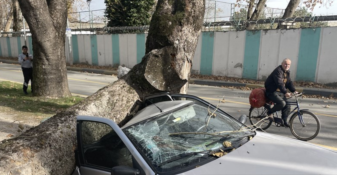 Sakarya'da Lodos 4 Araca Zarar Verdi