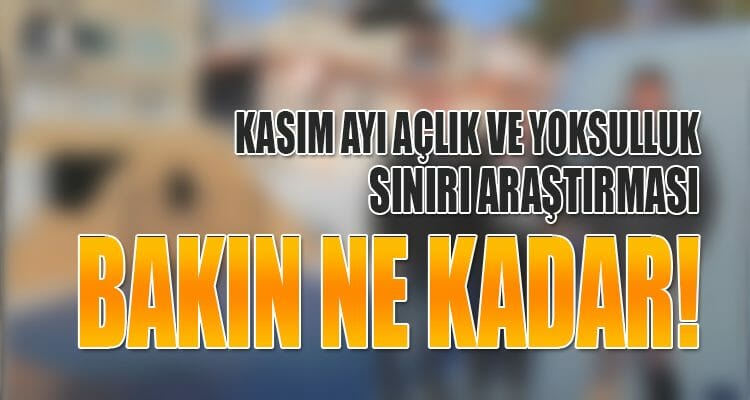 Kasım Ayı Yoksulluk Sınırı Araştırması