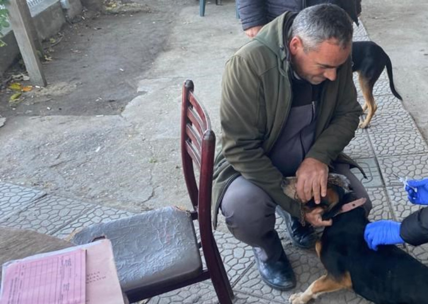 Edirne'de Kuduz Hastalığıyla Mücadele Ediliyor