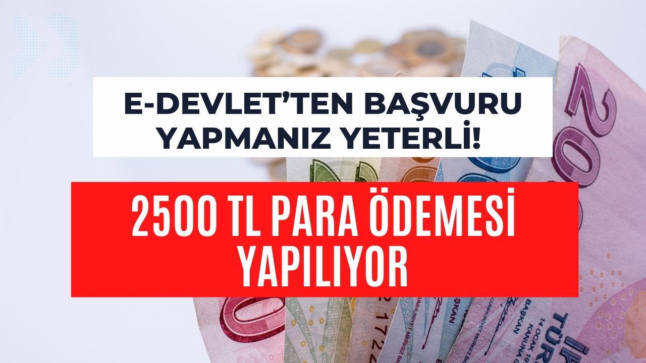 Sadece e-Devlet’ten Başvuru Yapmanız Yeterli! 2500 TL Para Ödemesi Yapılıyor