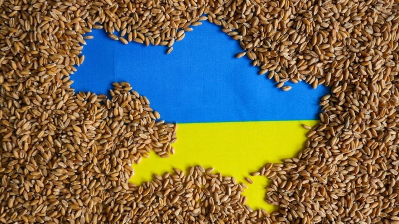 Savaş ve Açlık Kriziyle Mücadeleye Devam: Tahıl Koridoru'yla Tam 40 Ülkeye Tahıl Ürünü Taşındı