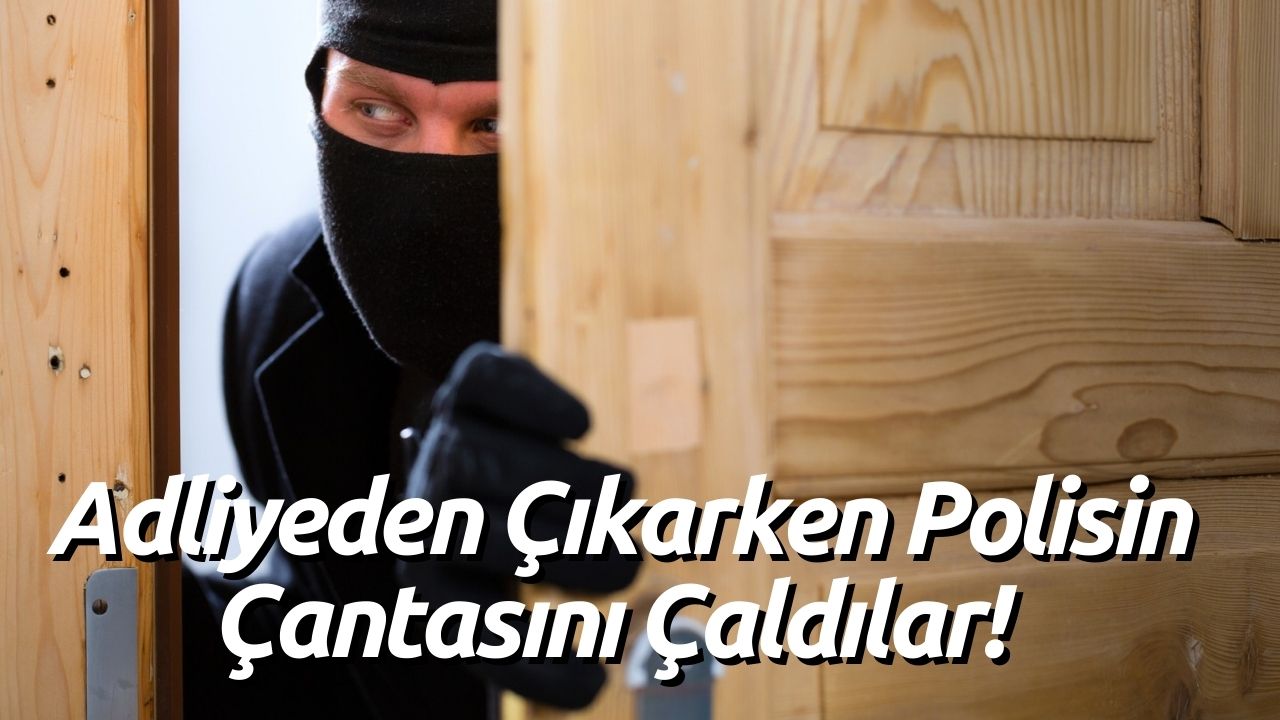 Hırsızlıktan Serbest Bırakıldılar, Çıkarken Polisin Çantasını Çaldılar!