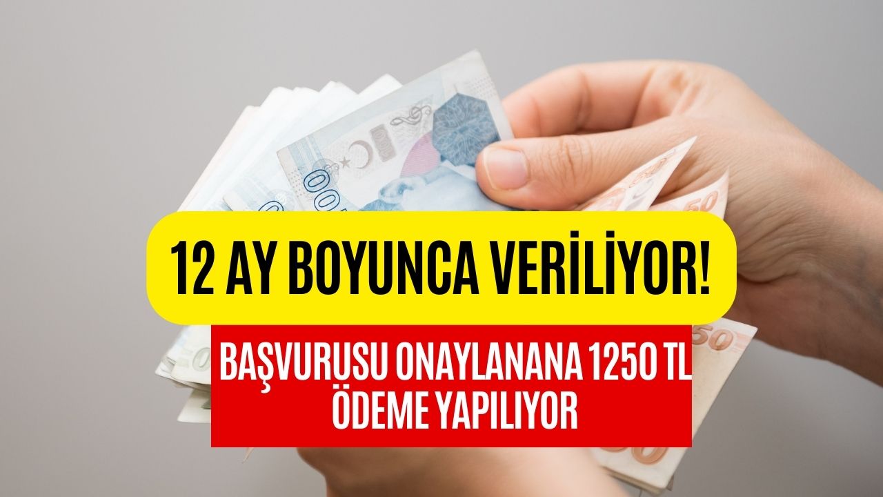 Kimliğinizle Başvurmanız Yeterli! 12 Ay Boyunca 1250 TL Para Veriliyor!