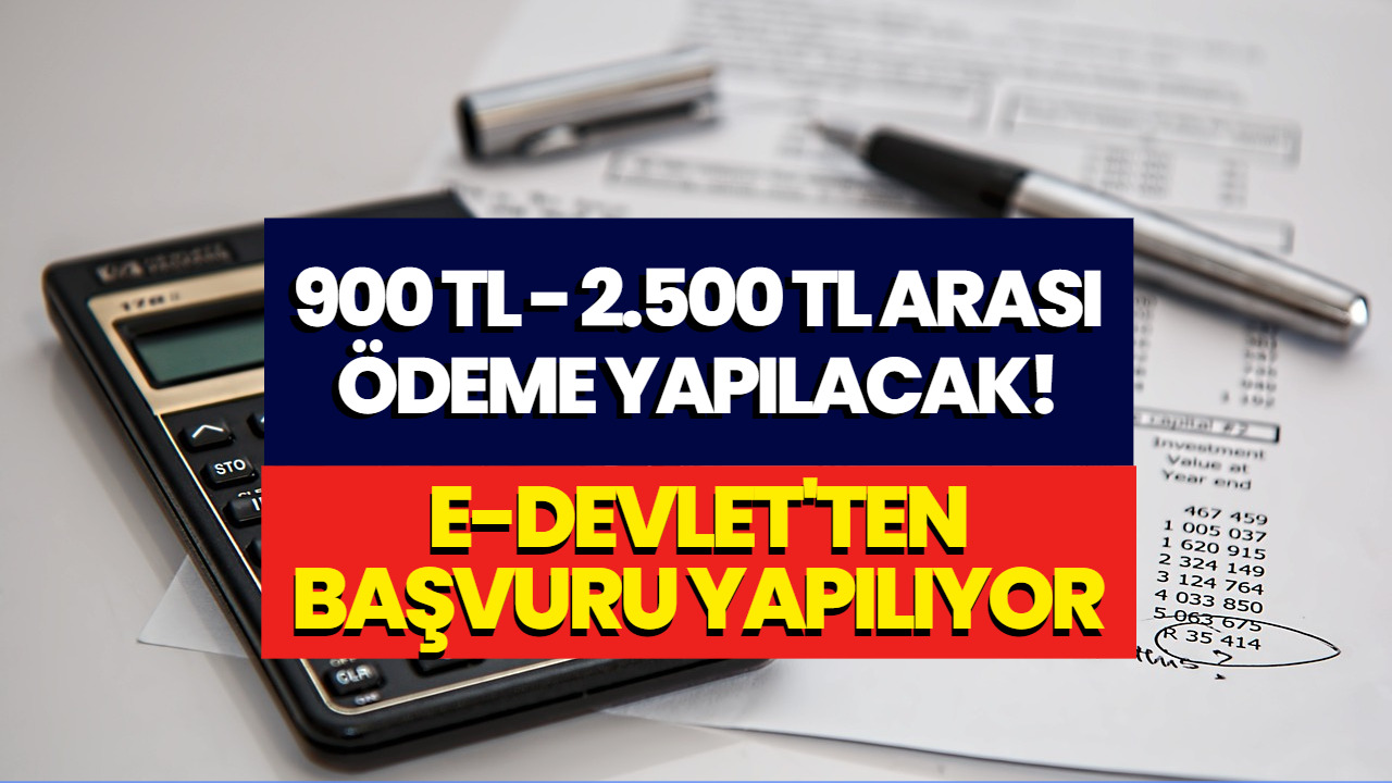 Hesaplara 900 TL ile 2500 TL Arası Ödeme Yatacak! İşte Başvuru Ekranı