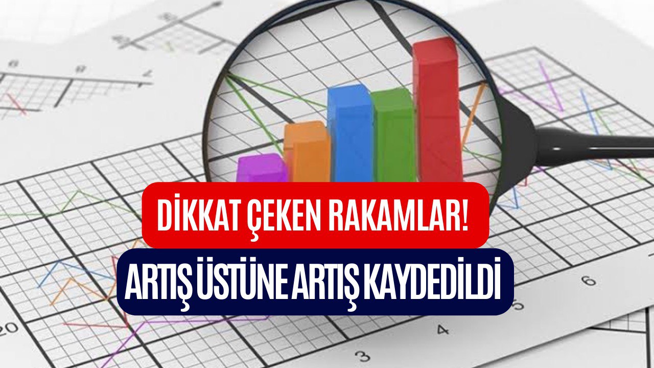 Bu Kadarı Beklenmiyordu, TÜİK Resmen Açıkladı! Yüzde 421,7 Artış Kaydedildi