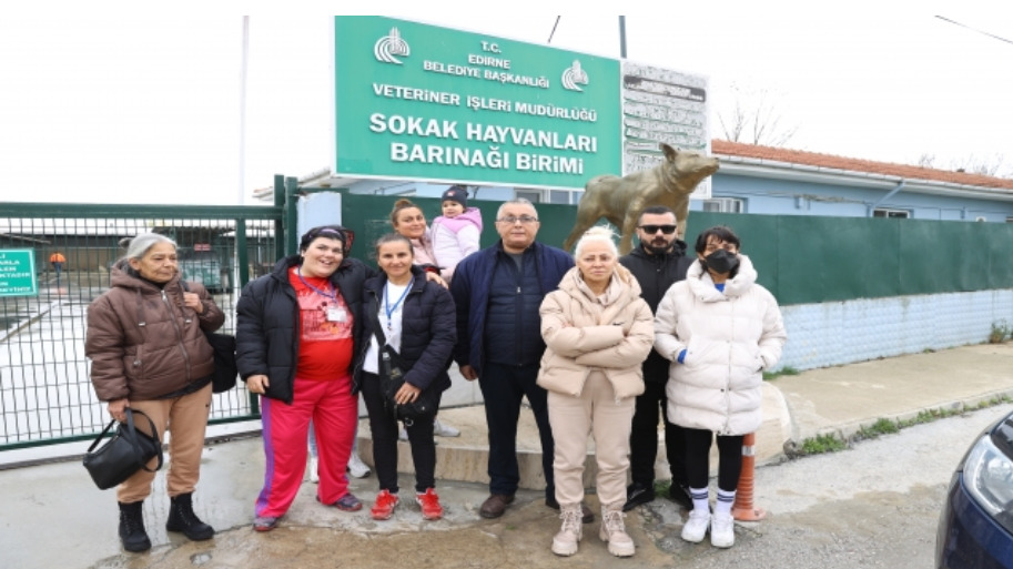 Edirne'de Ölü Bulunan Kedilere İlişkin Şikayetçi Olundu