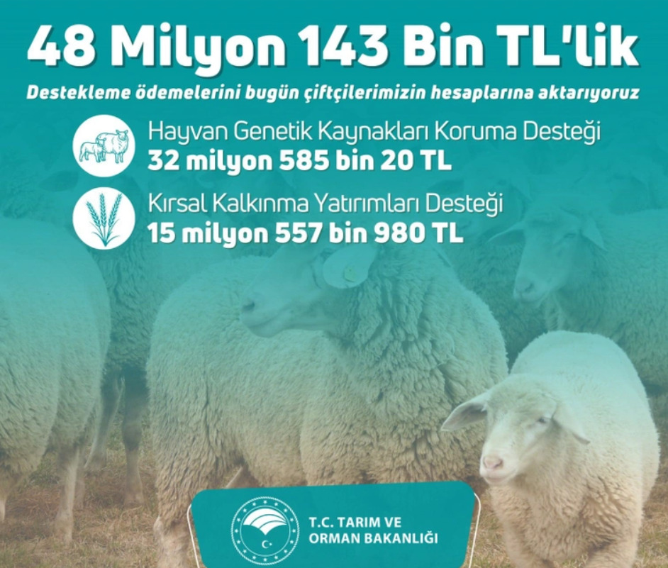 Hemen Hesaplarınızı Kontrol Edin! Bakanlık Tarafından 48 Milyon 143 Bin TL Ödeme Yapıldı