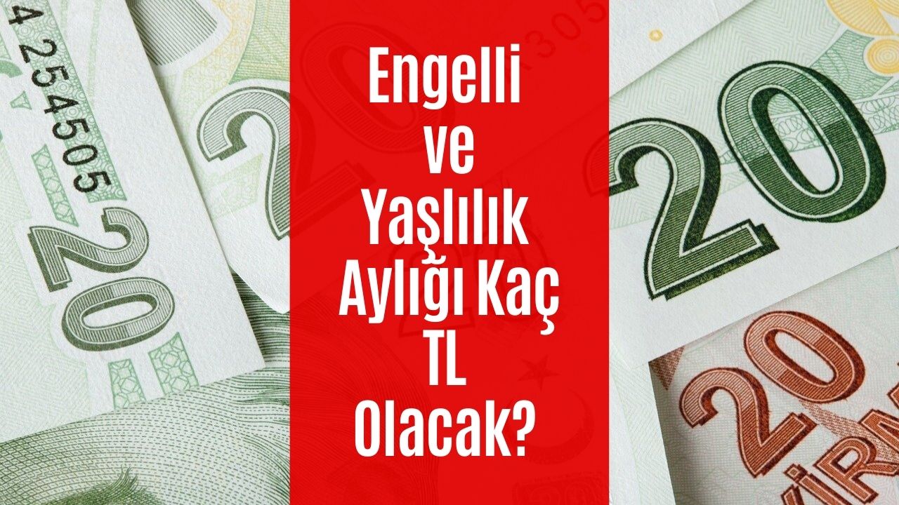 2022 Engelli Aylığı Ne Kadar Oldu? 2022 Yaşlılık Aylığı Ne Kadar Oldu? Ne Kadar Zam Yapılacak?