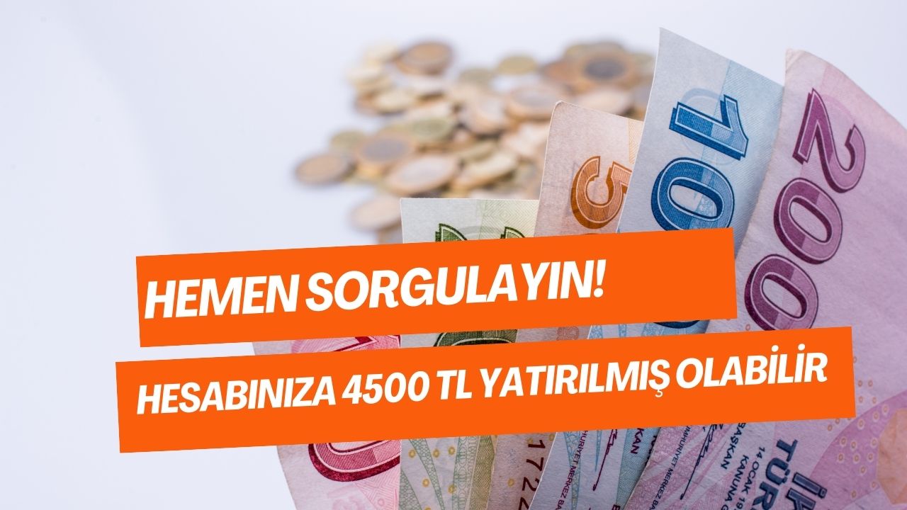 Vakit Kaybetmeden Hemen Sorgulayın! İBB Burs Sonuçları Açıklandı Mı? Hesabınıza 4500 TL Yatırılmış Olabilir