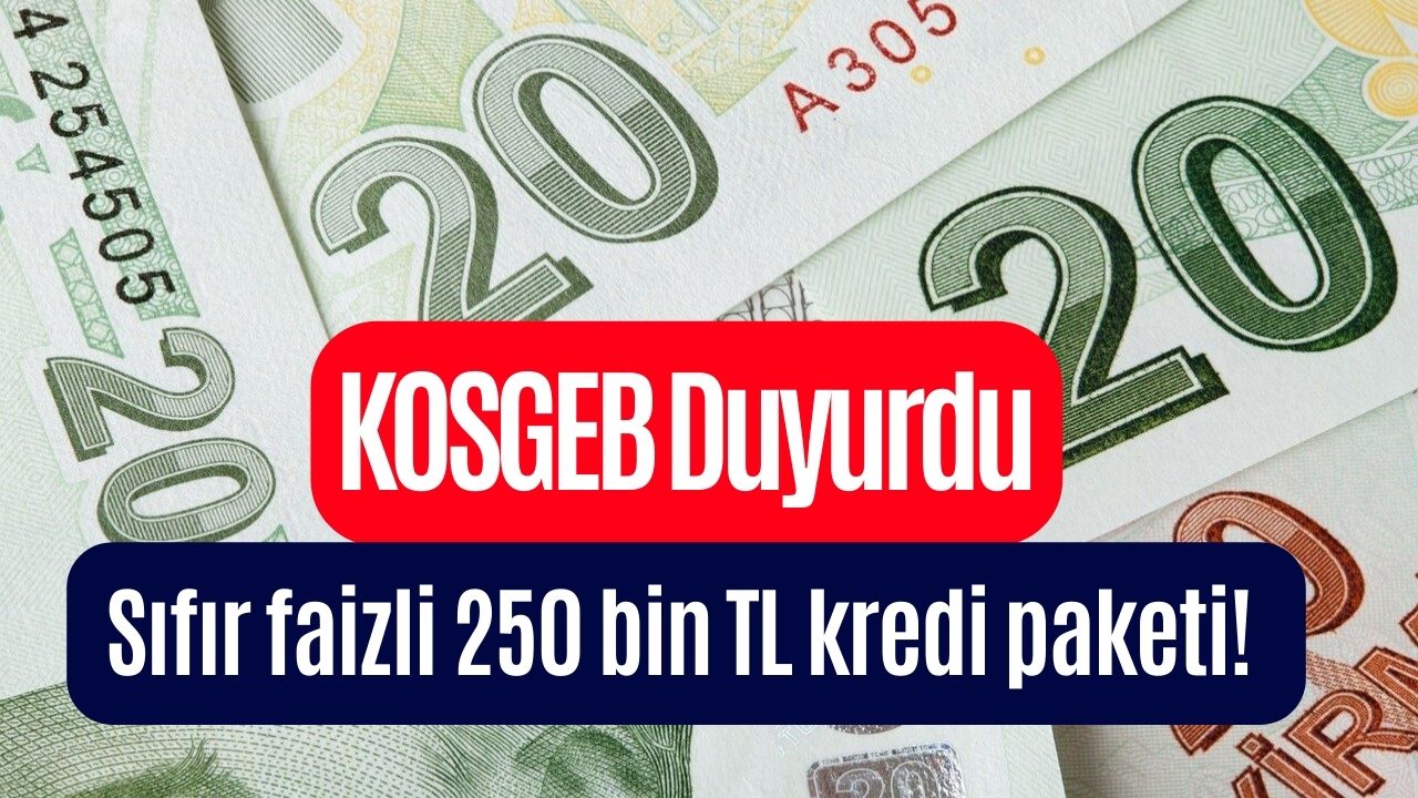 KOSGEB Harekete Geçti: 12 Ay Ödemesiz, 36 Ay Vadeli, Sıfır Faizli 250 Bin TL'ye Kadar Kredi!