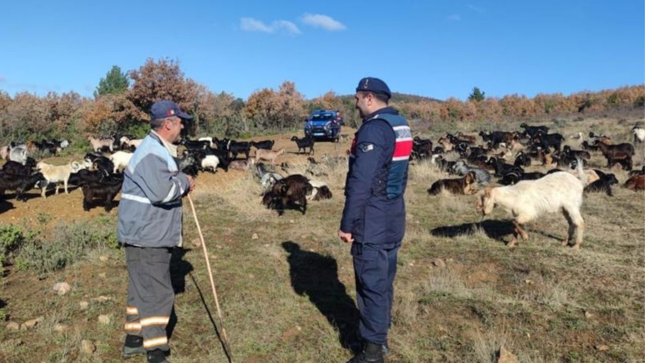 Yalova'da Kaybolan Canları Jandarma Ekipleri Buldu!