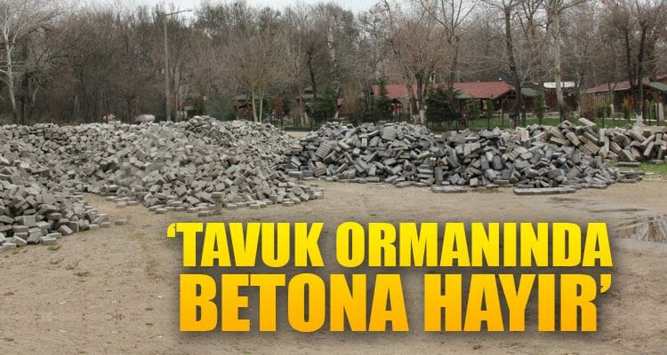 "Tavuk Ormanı'nda Betona Hayır"