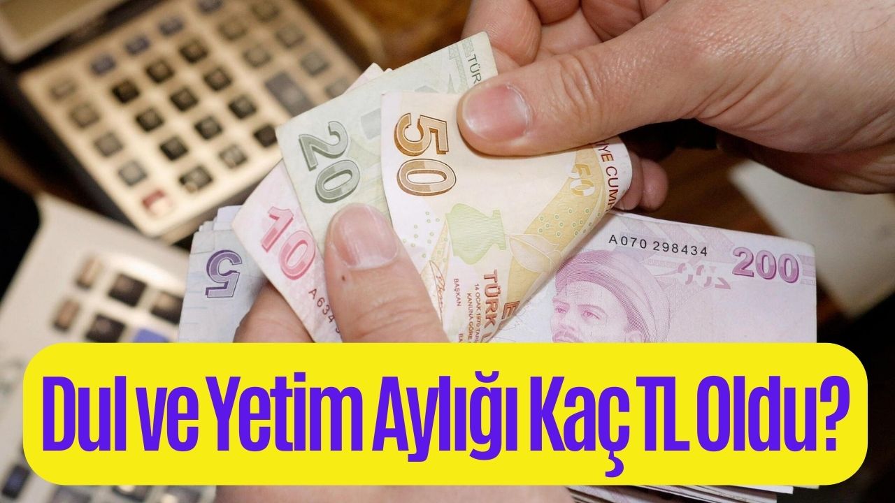 Dul ve Yetim Aylığı Kaç TL Oldu? Dul ve Yetim Aylığı Alma Şartları Neler?