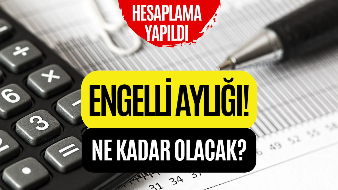 Asgari Ücret Zammı Sonrası Merak Ediliyordu! 2023 Engelli Aylığı Ne Kadar Olacak?