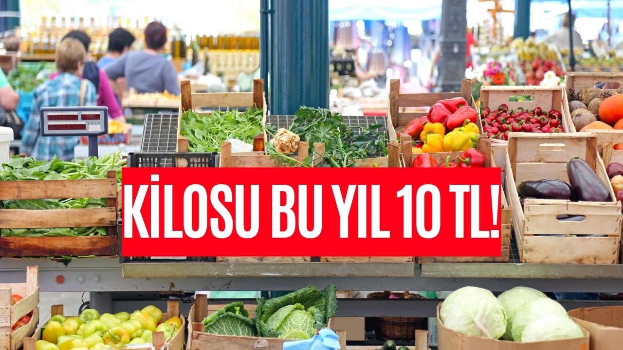 Rize’nin Gözdesi Oldu! Kilosu Bu Yıl 10 TL’den Satılıyor