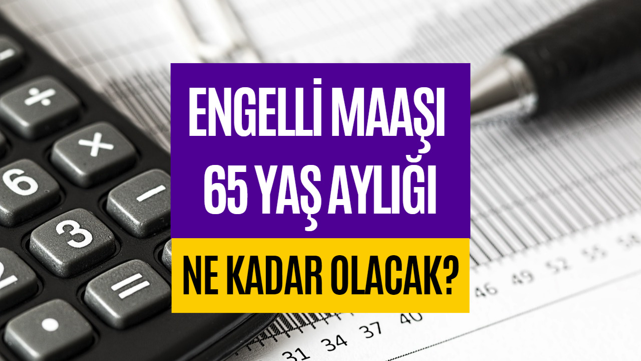 2023 Engelli Aylığı Zammı! Engelli Maaşı Ödeme Tutarları Belli Oldu